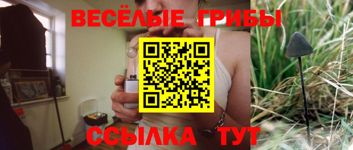 Псилоцибиновые грибы Psilocybe Югорск